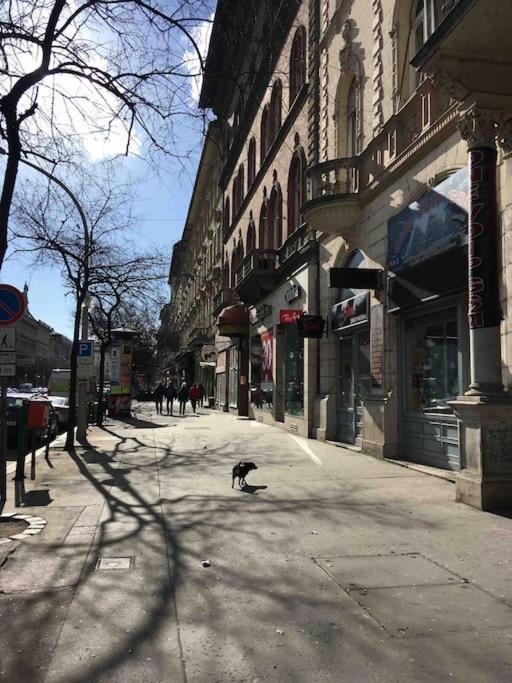 Downtown Island Of Peace By Nw Apartment Budapest Luaran gambar